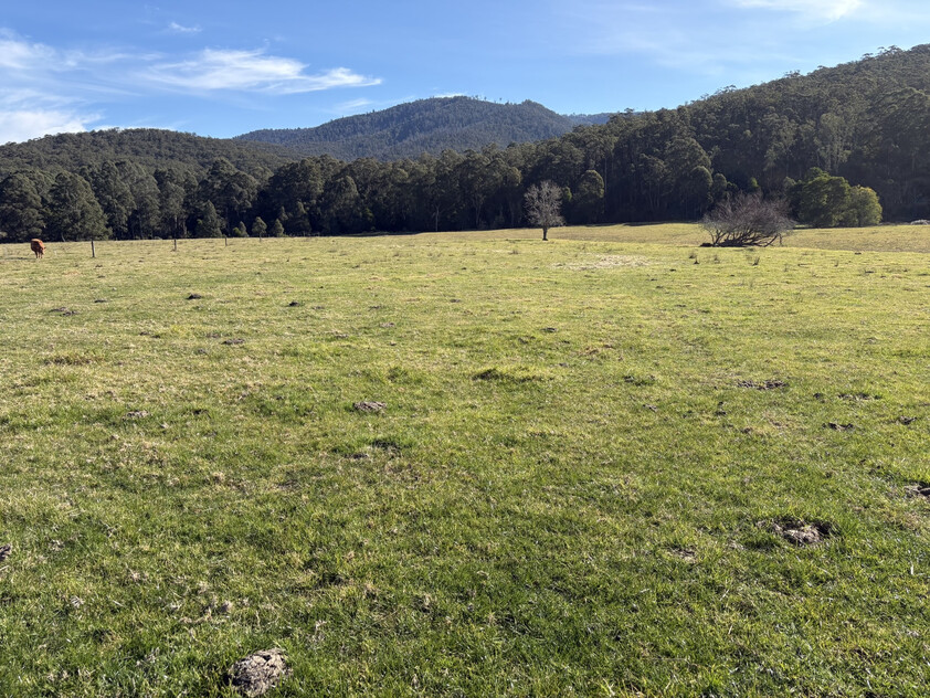 20.9ha Riverfront Farm with Quality Infrastructure & Livestock