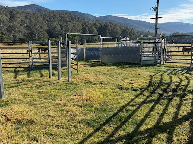 20.9ha Riverfront Farm with Quality Infrastructure & Livestock