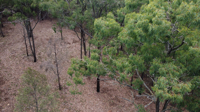 45.47-Hectares (~112-Acres) of Natural Australian Bushland Escape, Explore & Create Your Own Private Retreat
