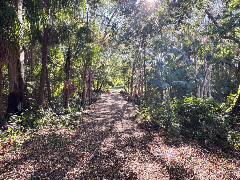 Rainforest Paradise with Two Homes, Premium Solar Infrastructure & Unlimited Lifestyle Potential