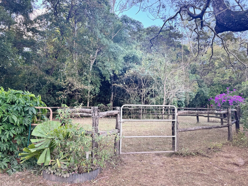 Rainforest Paradise with Two Homes, Premium Solar Infrastructure & Unlimited Lifestyle Potential
