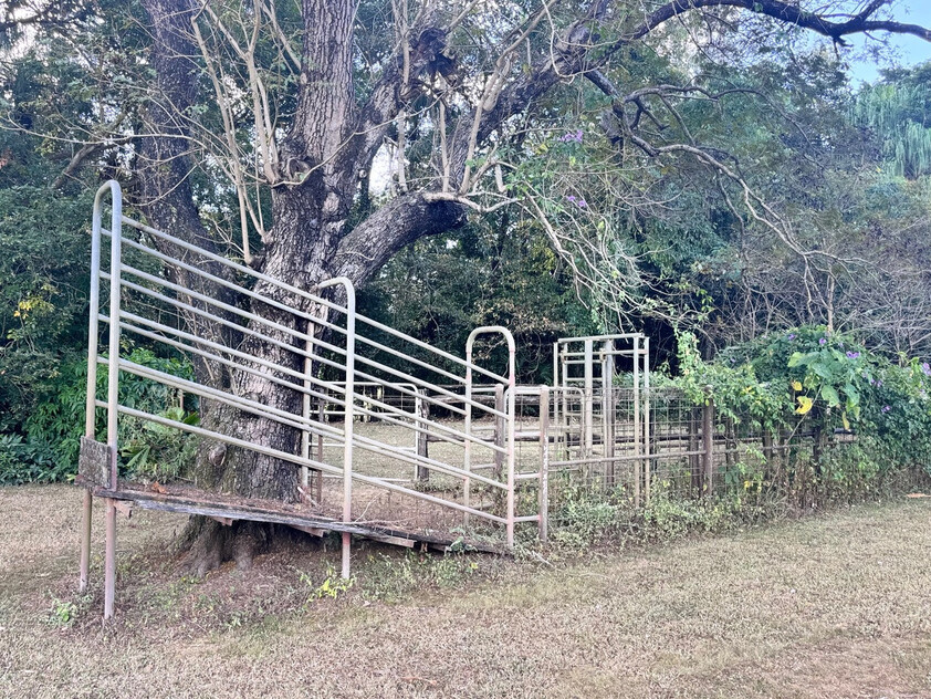Rainforest Paradise with Two Homes, Premium Solar Infrastructure & Unlimited Lifestyle Potential