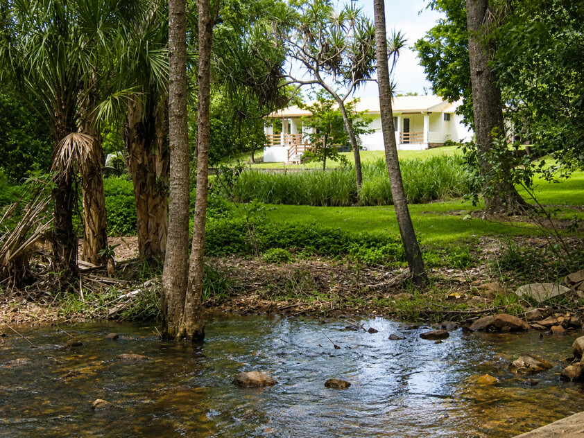 Rainforest Paradise with Two Homes, Premium Solar Infrastructure & Unlimited Lifestyle Potential