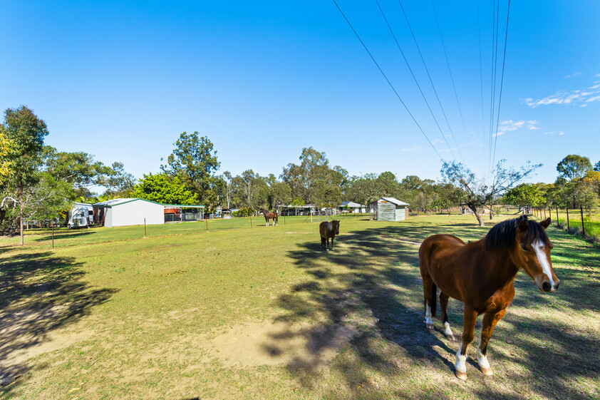 Beautifully Renovated Queensland Cottage on 4,047m² Horse Ready & Dual Access