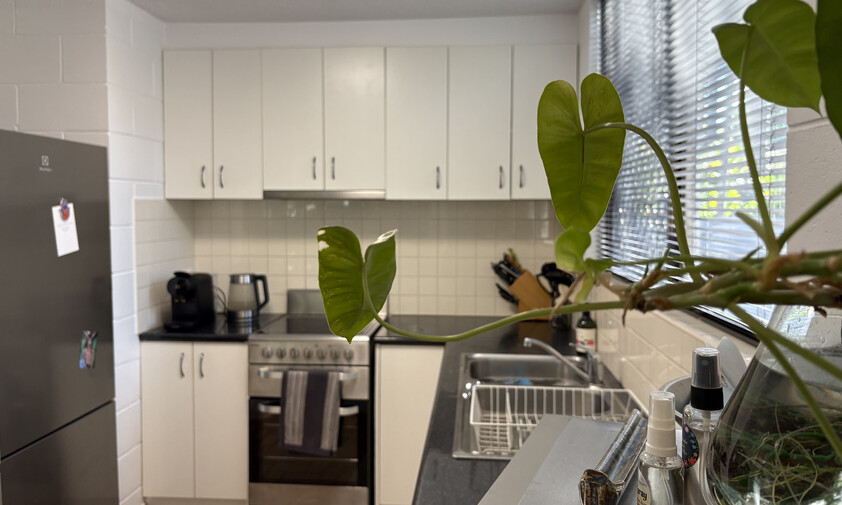 Fantastic Fannie Bay Townhouse with Own Plunge Pool