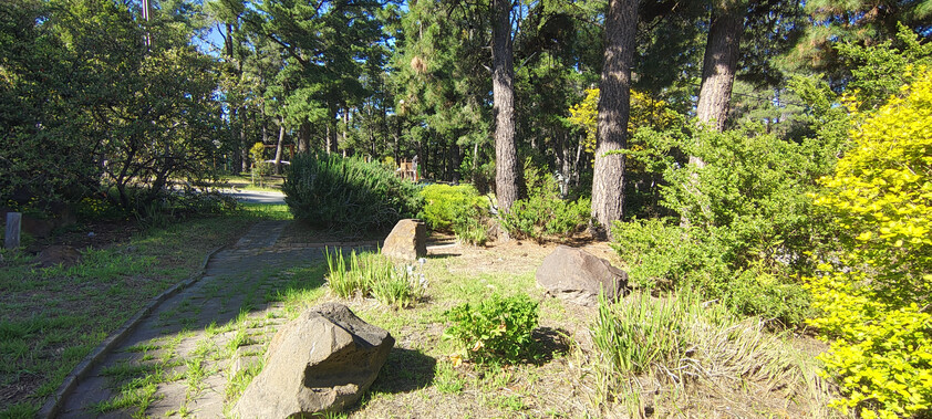 A peaceful private retreat, close to shops and nature
