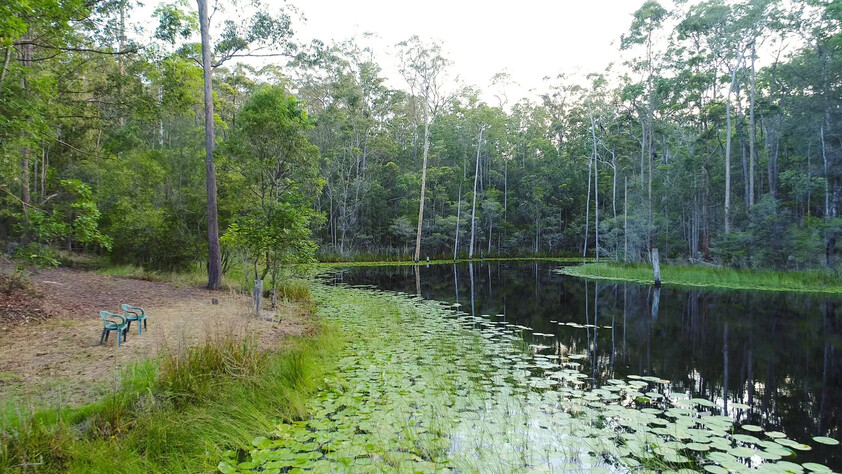 66 Acre Freehold with 3 Dwellings