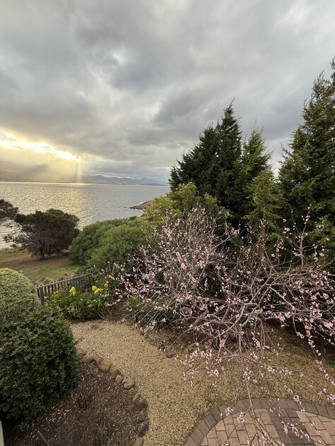 Executive Waterfront Reserve Residence