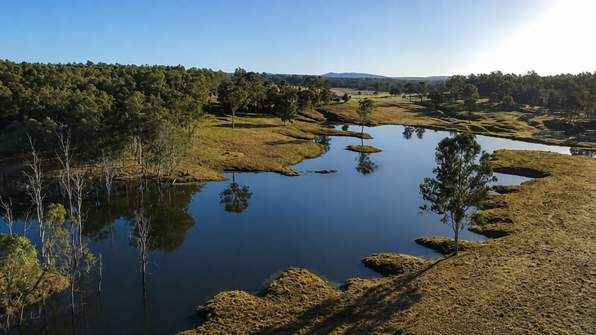 'Rosehill" 240 Acre Water-Secure Intensive Cattle & Fodder Enterprise Glen Echo Gympie Region Queensland - Family Owned since 1958.