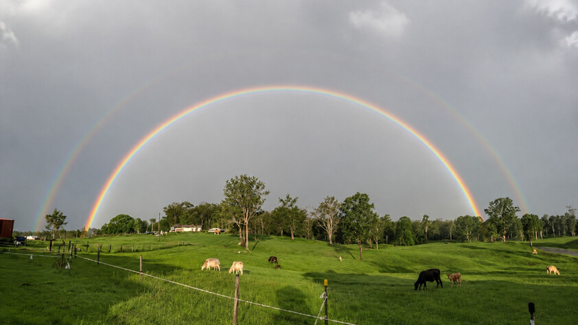 'Rosehill" 240 Acre Water-Secure Intensive Cattle & Fodder Enterprise Glen Echo Gympie Region Queensland - Family Owned since 1958.