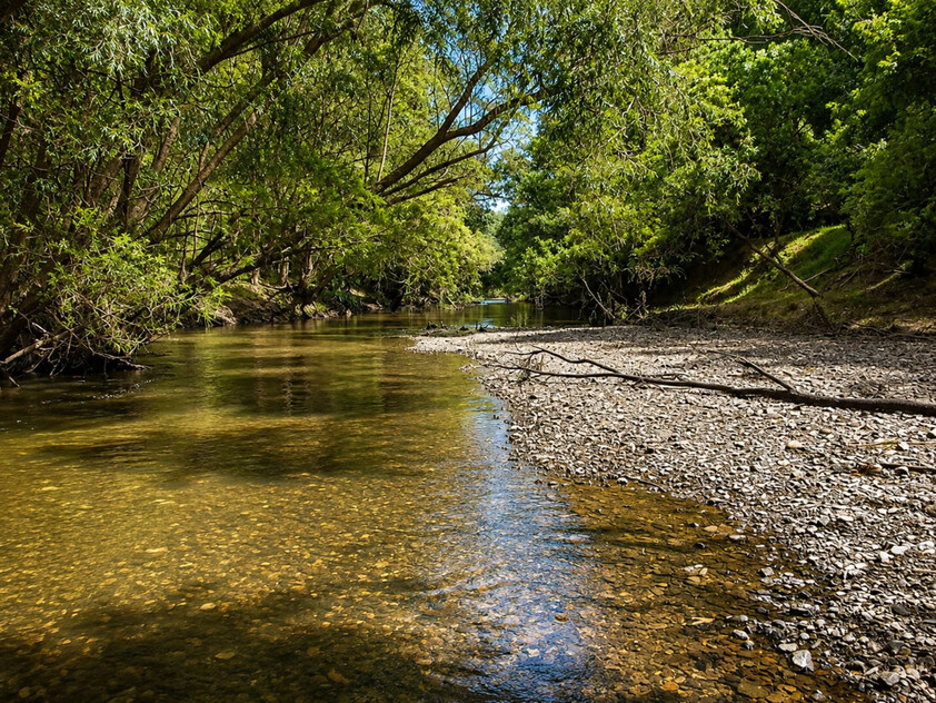 'Rosehill" 240 Acre Water-Secure Intensive Cattle & Fodder Enterprise Glen Echo Gympie Region Queensland - Family Owned since 1958.