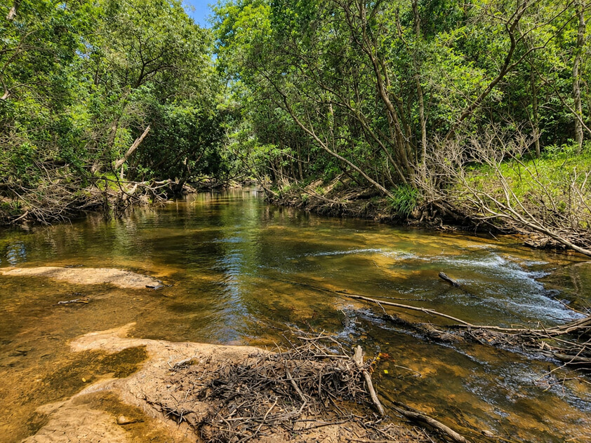 'Rosehill" 240 Acre Water-Secure Intensive Cattle & Fodder Enterprise Glen Echo Gympie Region Queensland - Family Owned since 1958.