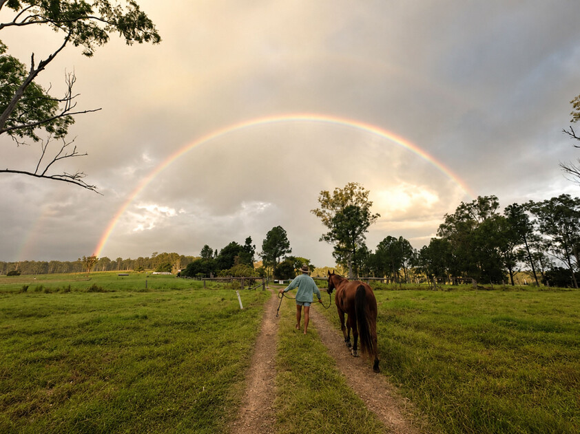 'Rosehill" 240 Acre Water-Secure Intensive Cattle & Fodder Enterprise Glen Echo Gympie Region Queensland - Family Owned since 1958.