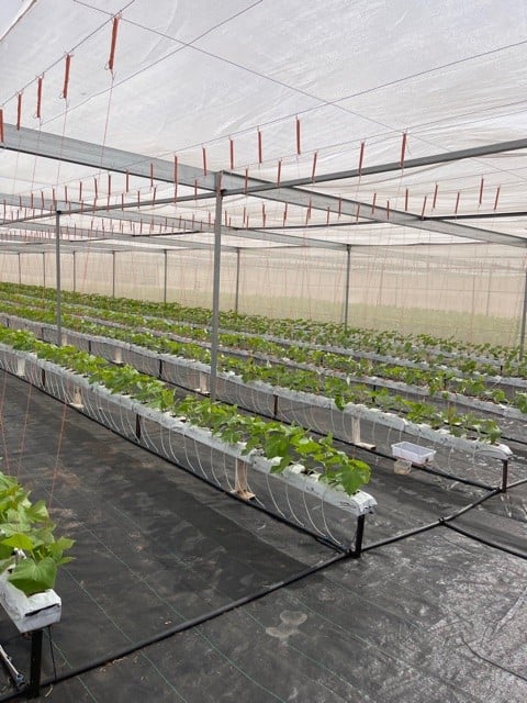 Tightly Held Rural Property - Fully Furnished plus Farming Equipment