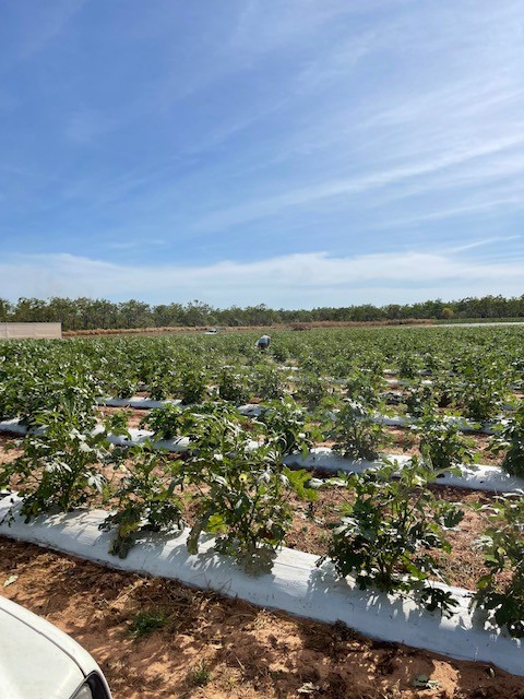 Tightly Held Rural Property - Fully Furnished plus Farming Equipment
