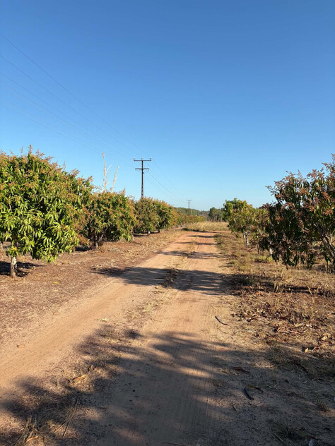 Property including Greenhouse and Farming Equipment
