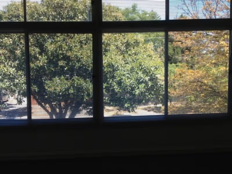 Great Location, Tree Lined Street, Minutes to Burnside Village & All amenities.