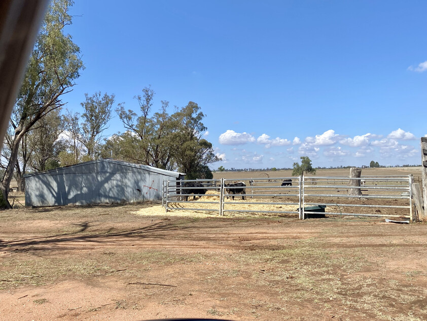 1,350 ACRES | 650 ACRES ARABLE | 24" RAINFALL | MIXED FARMING | GRAZING