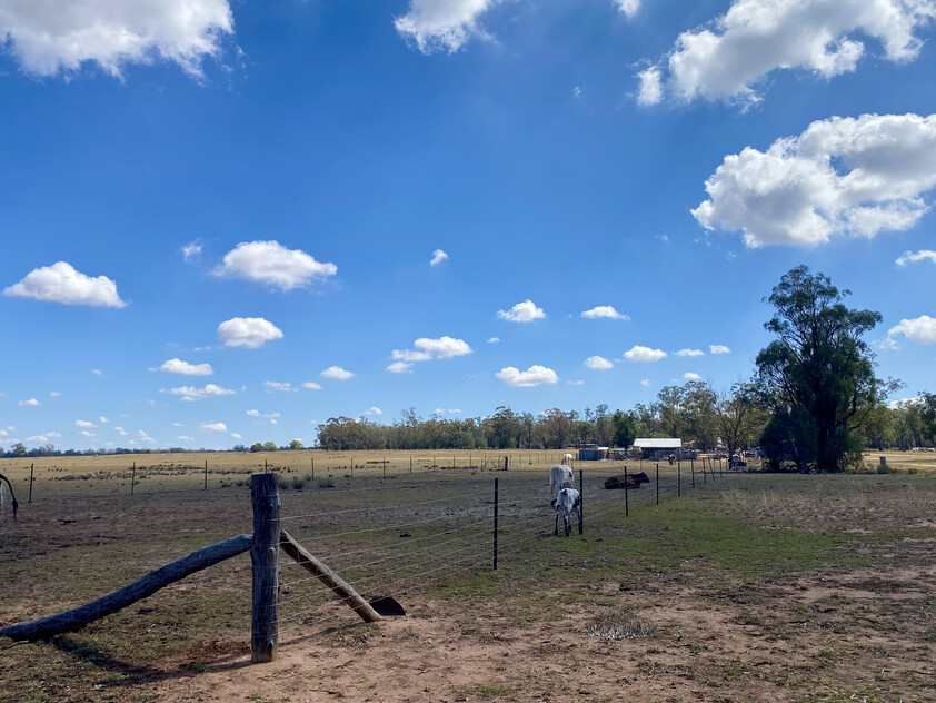 1,350 ACRES | 650 ACRES ARABLE | 24" RAINFALL | MIXED FARMING | GRAZING