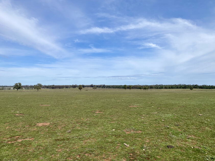 1,350 ACRES | 650 ACRES ARABLE | 24" RAINFALL | MIXED FARMING | GRAZING