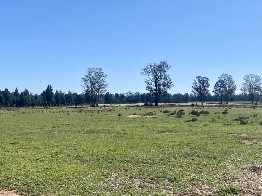 1,350 ACRES | 650 ACRES ARABLE | 24" RAINFALL | MIXED FARMING | GRAZING