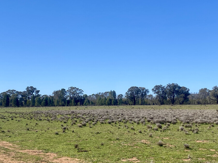 1,350 ACRES | 650 ACRES ARABLE | 24" RAINFALL | MIXED FARMING | GRAZING