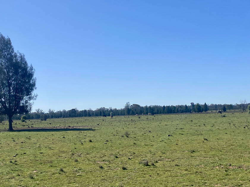 1,350 ACRES | 650 ACRES ARABLE | 24" RAINFALL | MIXED FARMING | GRAZING