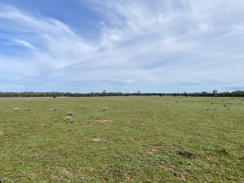 1,350 ACRES | 650 ACRES ARABLE | 24" RAINFALL | MIXED FARMING | GRAZING