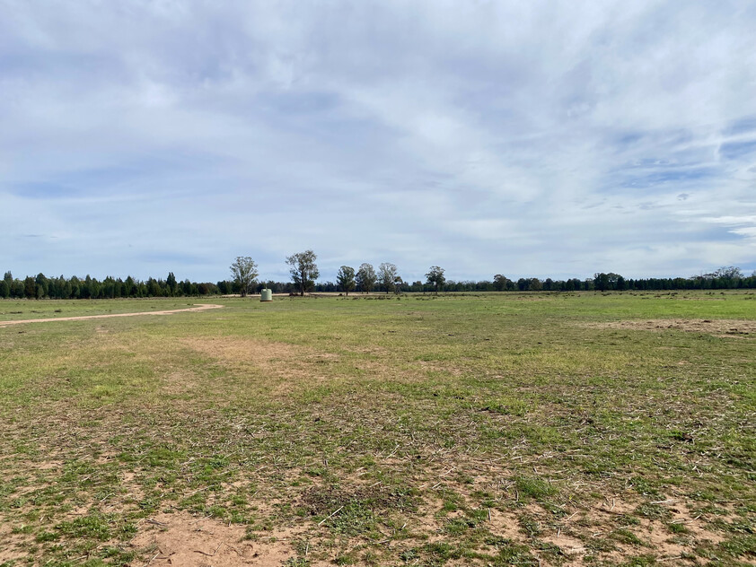 1,350 ACRES | 650 ACRES ARABLE | 24" RAINFALL | MIXED FARMING | GRAZING