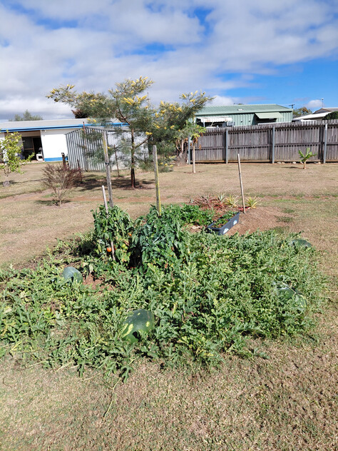 Upgraded Family Home on 1,562m² with Exceptional Vehicle & Workshop Space