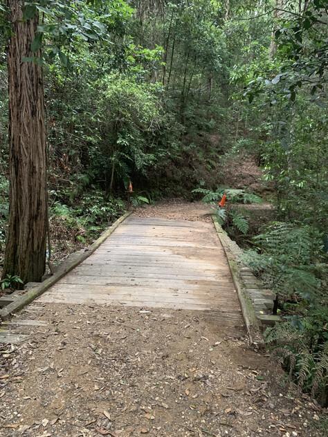 Private 63-Acre Self-Sufficient Sanctuary in the Kalang Valley