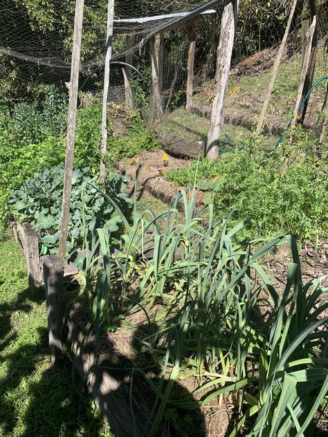 Private 63-Acre Self-Sufficient Sanctuary in the Kalang Valley