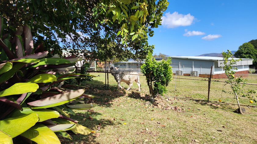 2 bedroom grany flat (Including Electricity)in Atherton