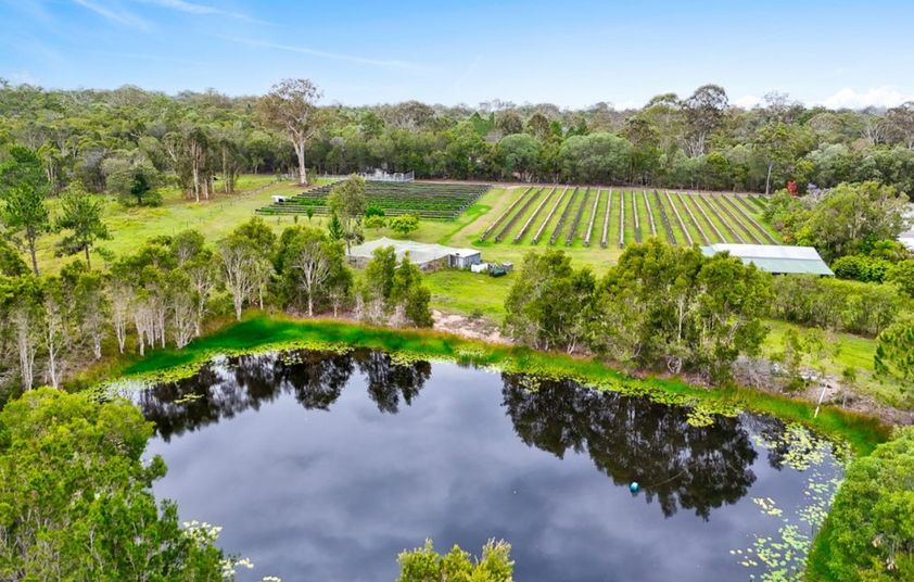 30 Acres of Privacy, Lifestyle & Established Income Potential
