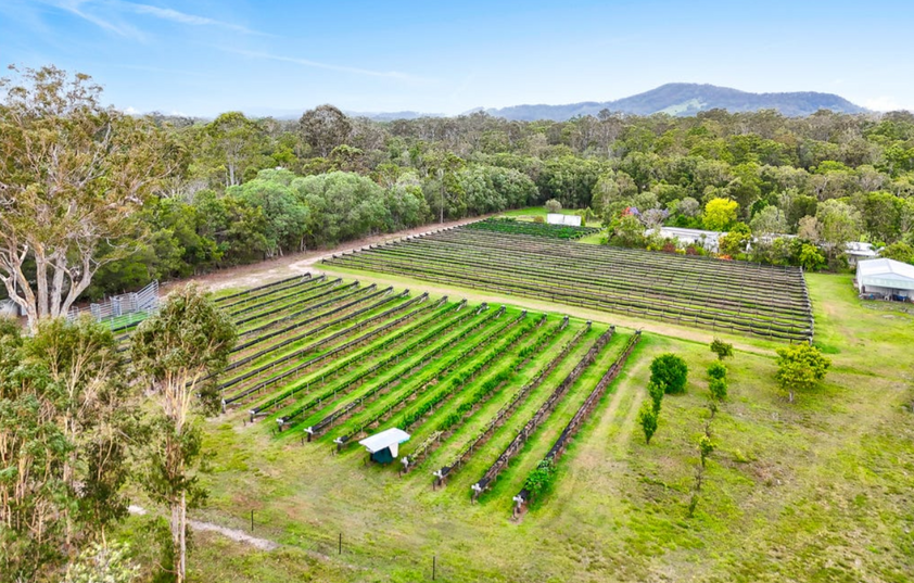 30 Acres of Privacy, Lifestyle & Established Income Potential