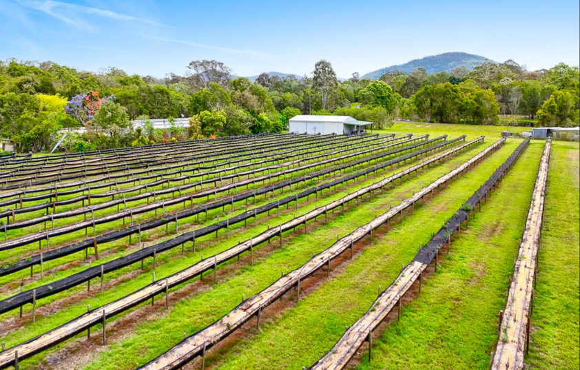 30 Acres of Privacy, Lifestyle & Established Income Potential