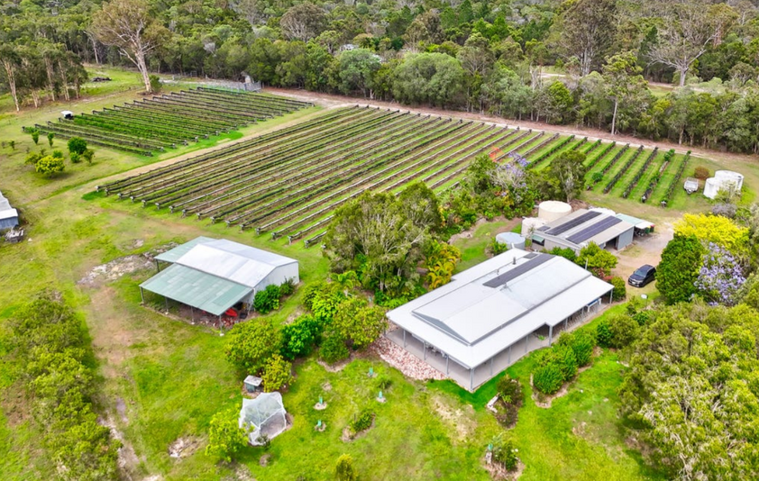 30 Acres of Privacy, Lifestyle & Established Income Potential