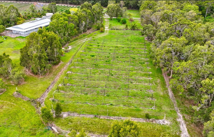 30 Acres of Privacy, Lifestyle & Established Income Potential