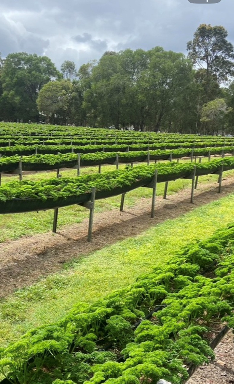 30 Acres of Privacy, Lifestyle & Established Income Potential