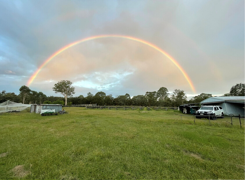 30 Acres of Privacy, Lifestyle & Established Income Potential