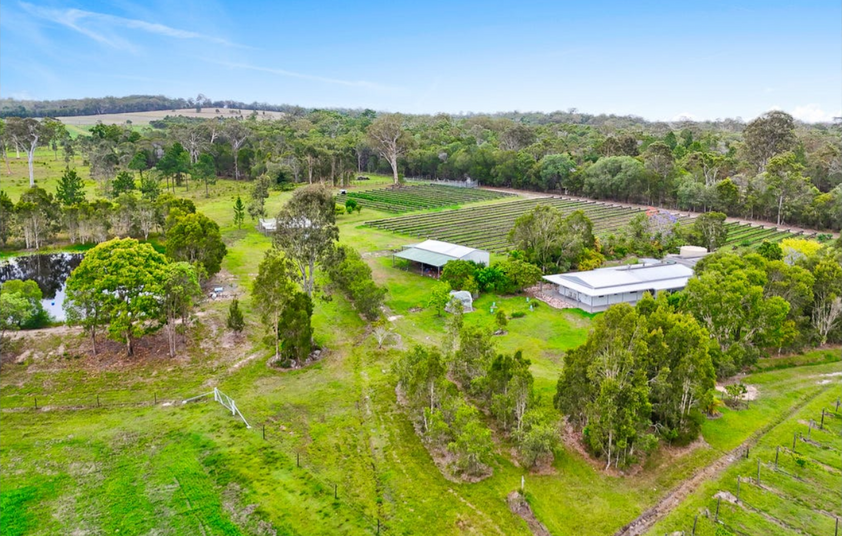 Established Rural Income Opportunity with Lifestyle Appeal