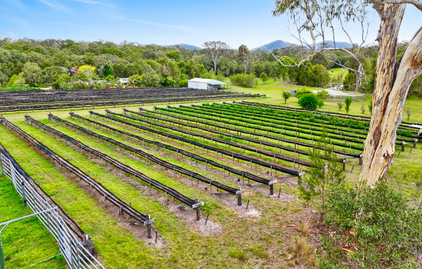 Established Rural Income Opportunity with Lifestyle Appeal
