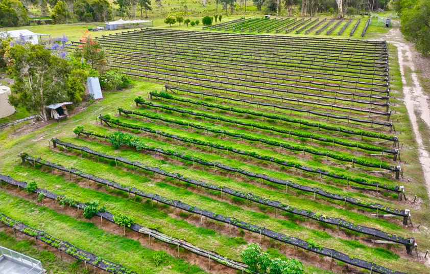 Established Rural Income Opportunity with Lifestyle Appeal