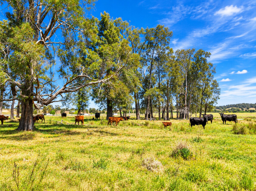 Remarkable 265-Acre Hunter Valley Estate with Two Homes, Private Airstrip, Exceptional Water & Extensive Infrastructure