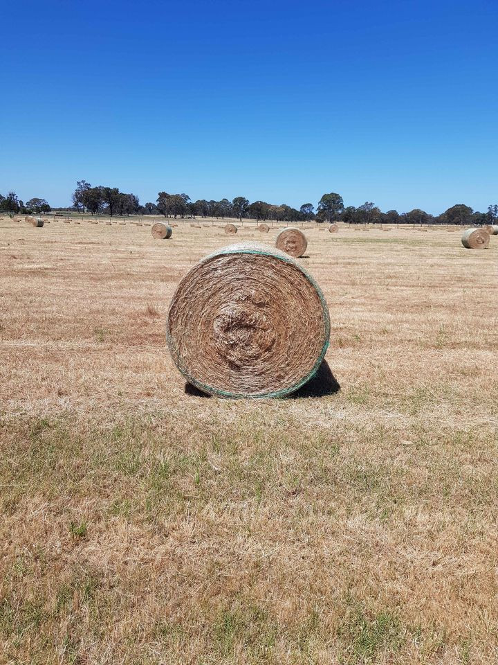 Peaceful Country Living on 100 Acres - Just Minutes from Stratford Vic