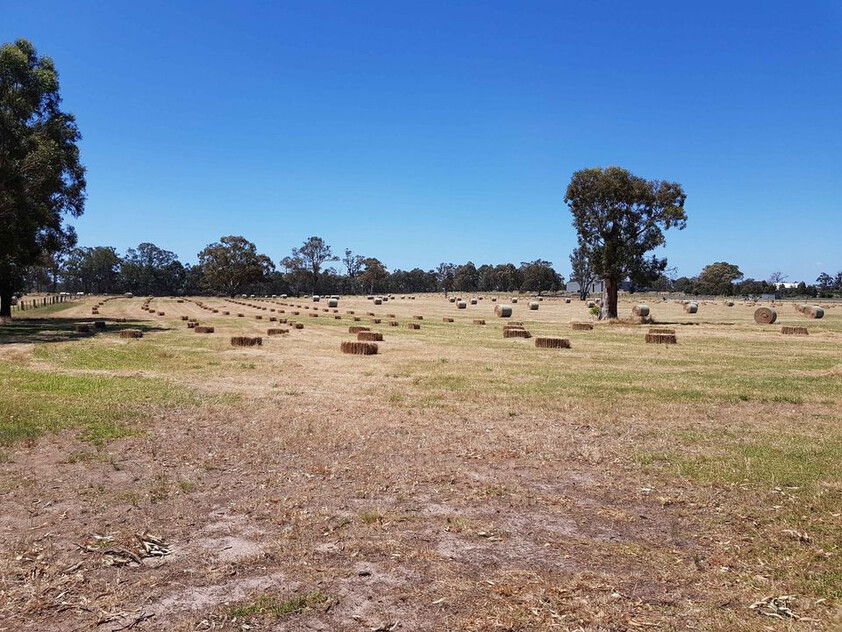 Peaceful Country Living on 100 Acres - Just Minutes from Stratford Vic
