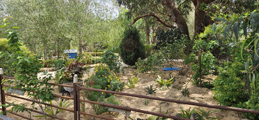 Peaceful Country Living on 100 Acres - Just Minutes from Stratford Vic