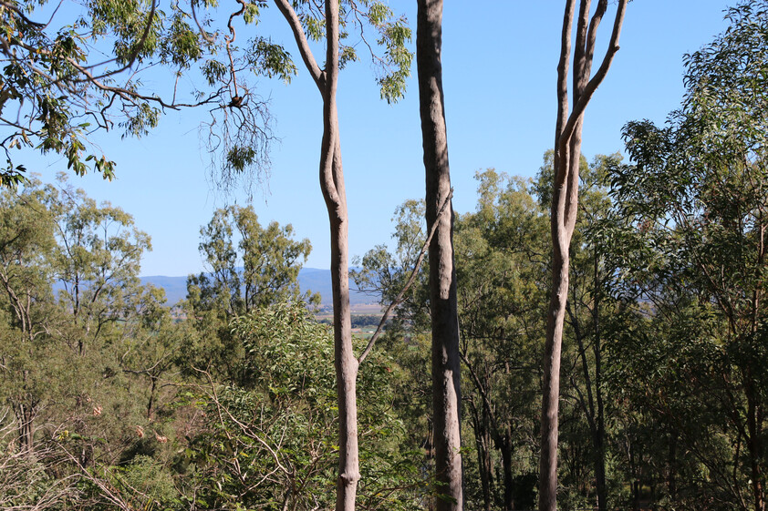 1-Acre Blank Canvas with Valley & Range Views 3-Phase Power & No Covenants!