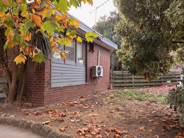 Pet Friendly - Near public Transport