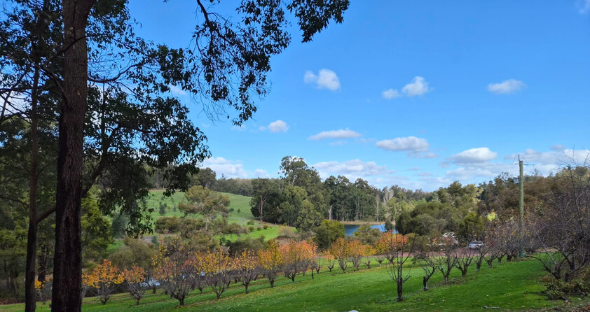 Tree change and serenity in Dwellingup